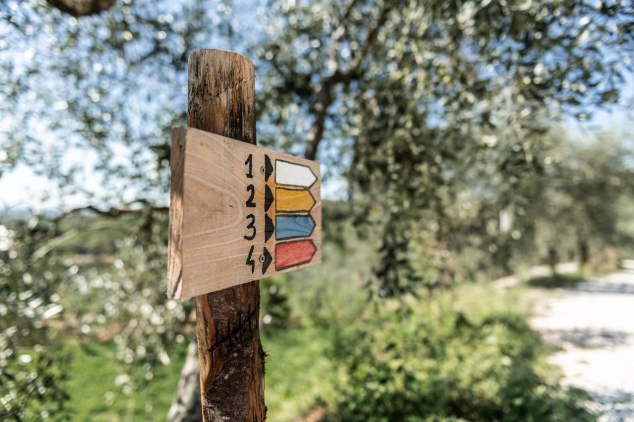 בורגו א בוג'יאנו Terre Di Cocomo מראה חיצוני תמונה